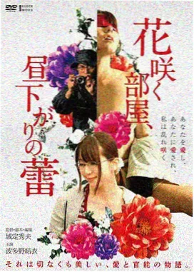 欧美电影在线直播 锈色公路